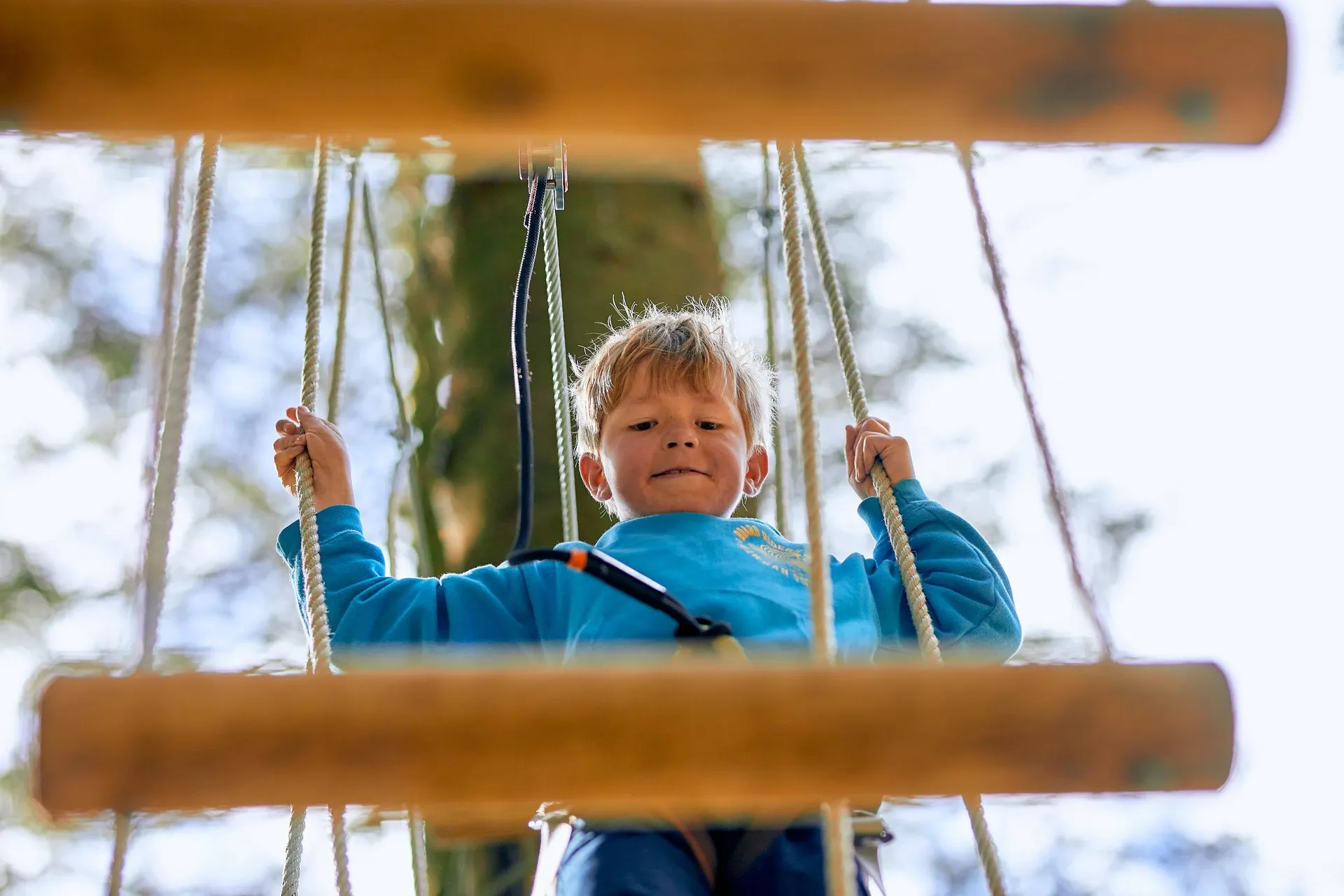 Young person on a high ropes course.