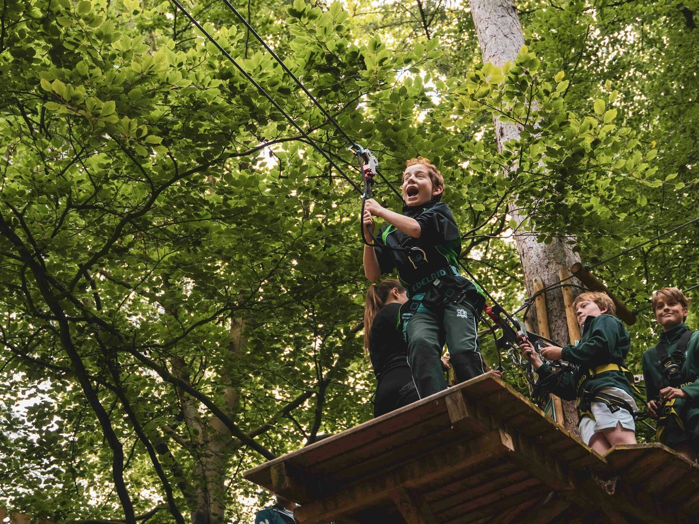 From enquiry to adventure