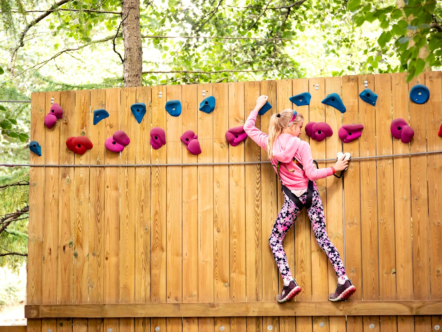 Treetop Adventure Plus Annual Pass