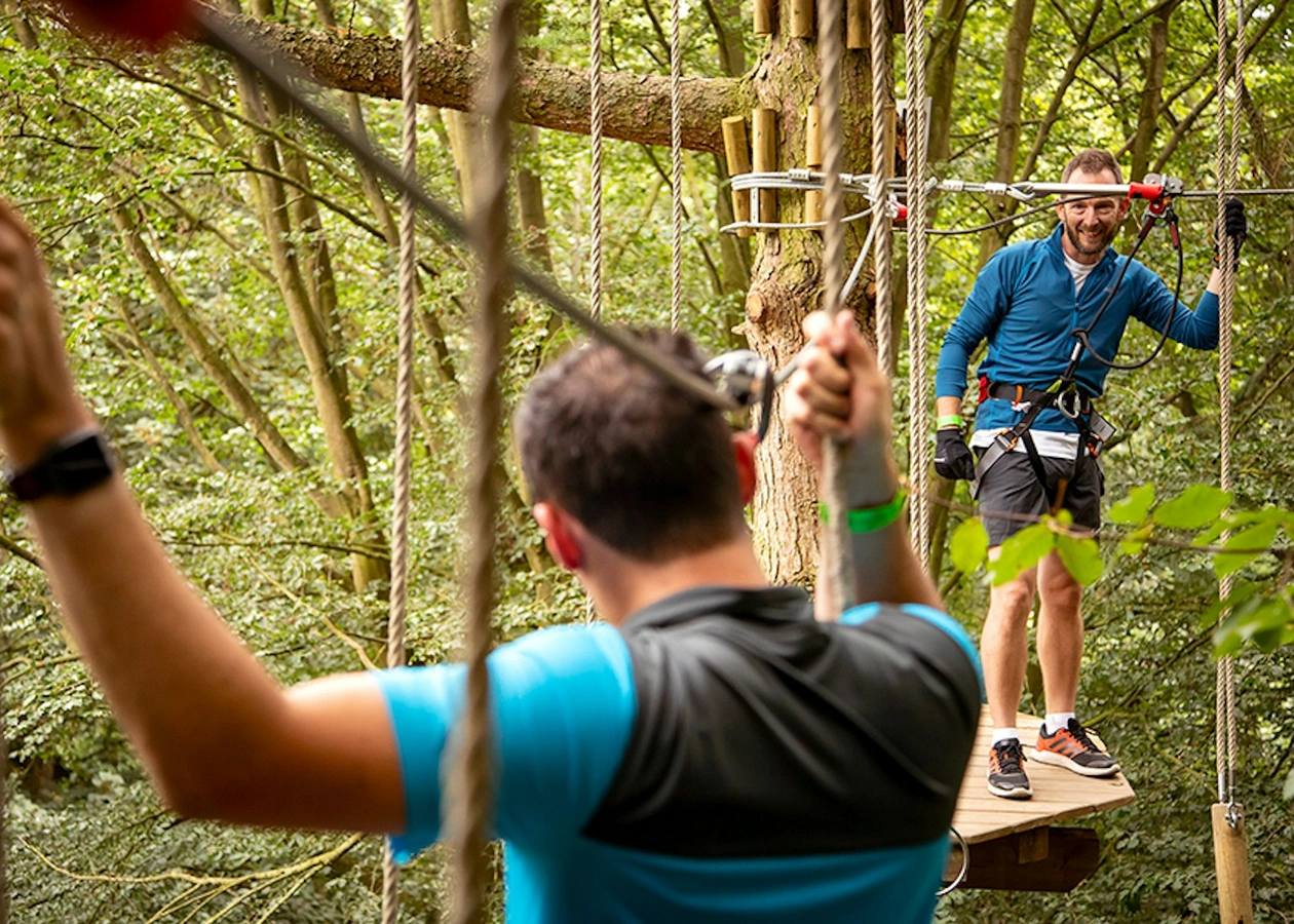 Bedgebury's Featured Image