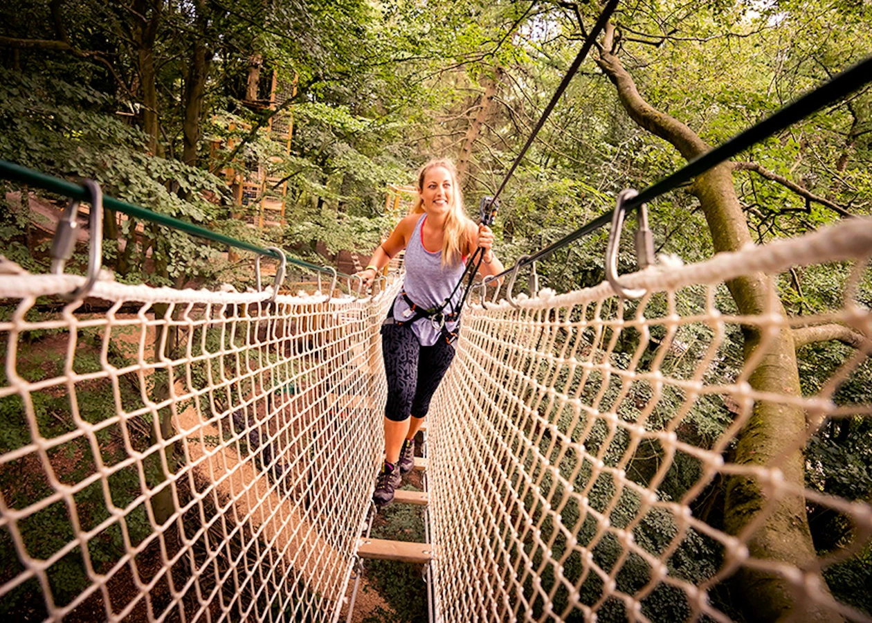 Temple Newsam's Featured Image