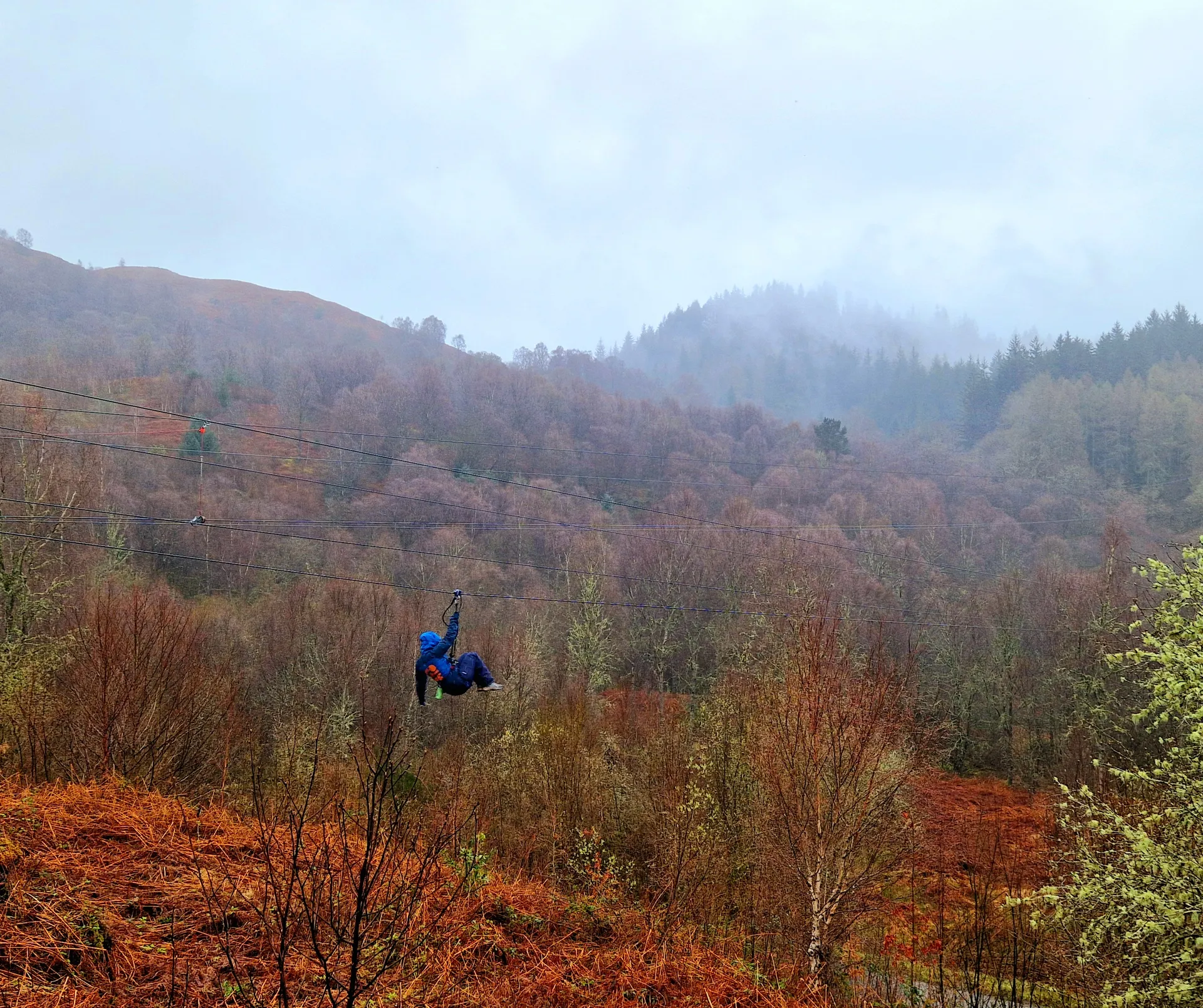Person on a long zip line in front of forest scenery.
