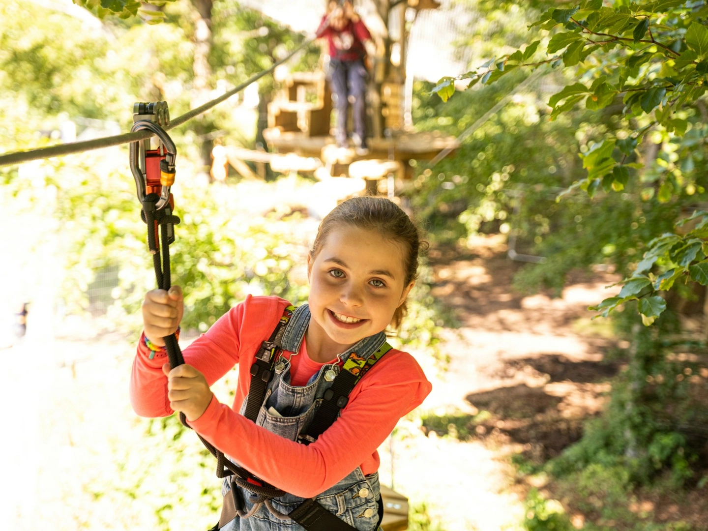 Treetop Adventure Plus Gift Experience
