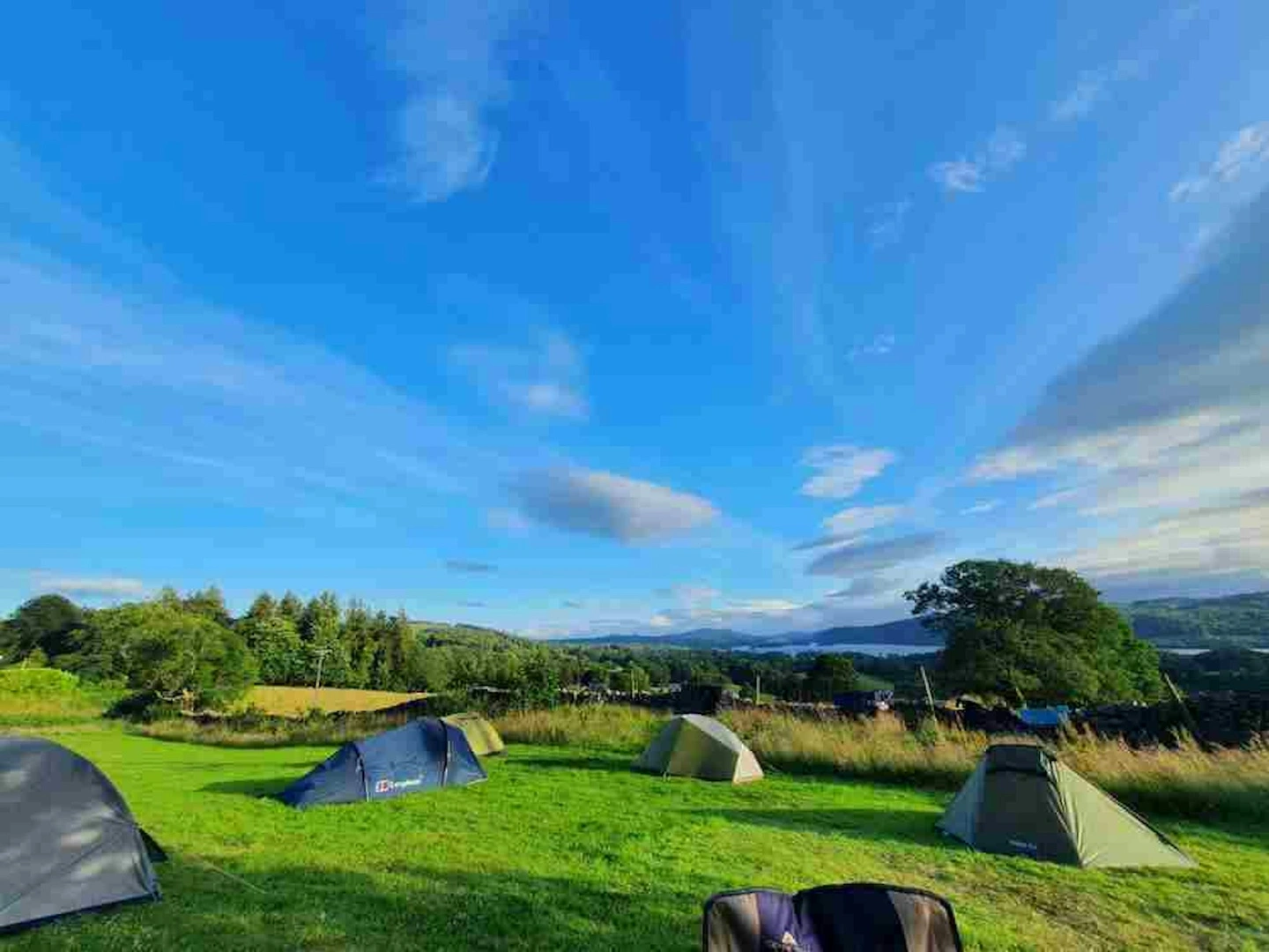 Camping and Go Ape – The Perfect Forest Getaway