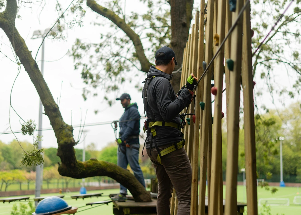 Battersea 's Featured Image