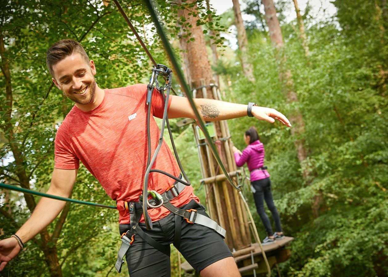 Haldon Forest's Featured Image