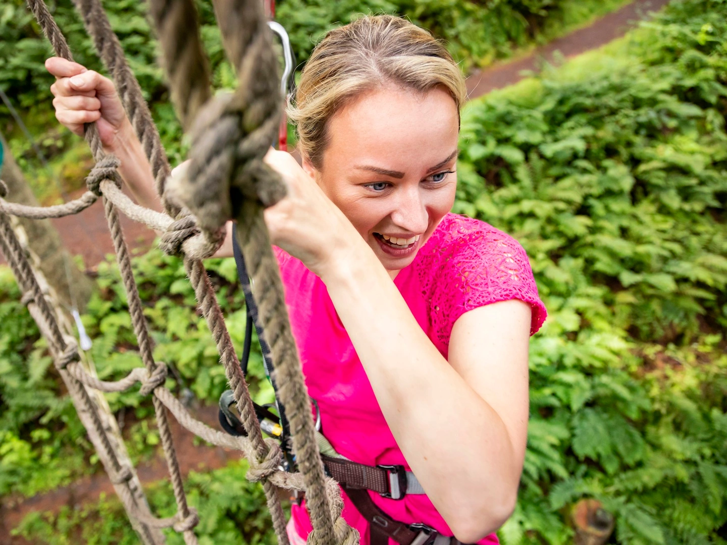 Celebrate with a wild twist