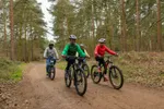 Forest Biking