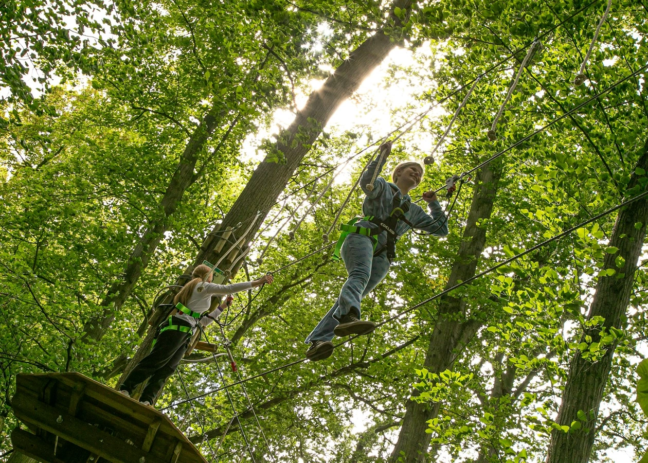 Chelmsford's Featured Image