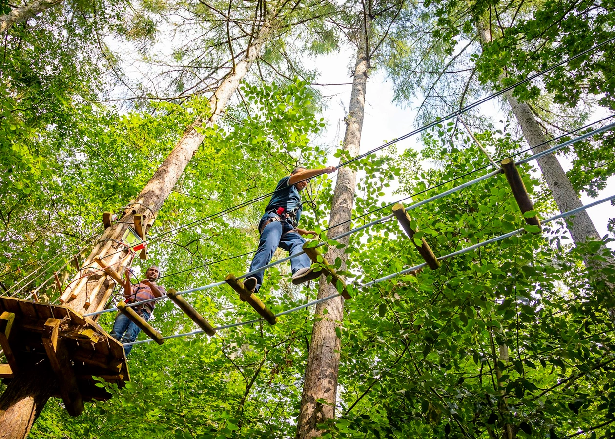 Black Park's Featured Image