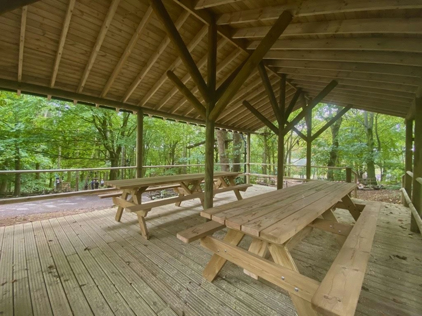 Hire a Forest Shelter 