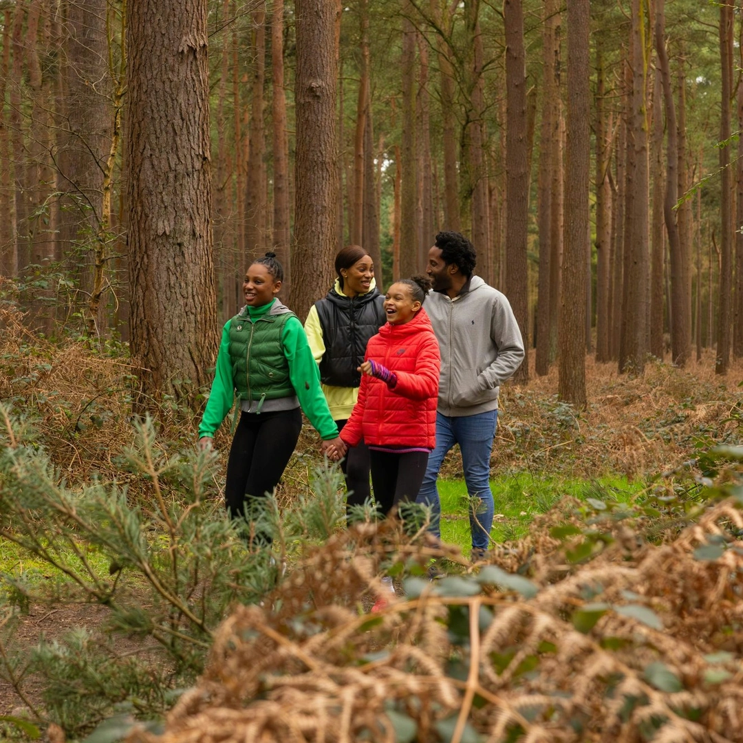 A family walk through the forest together